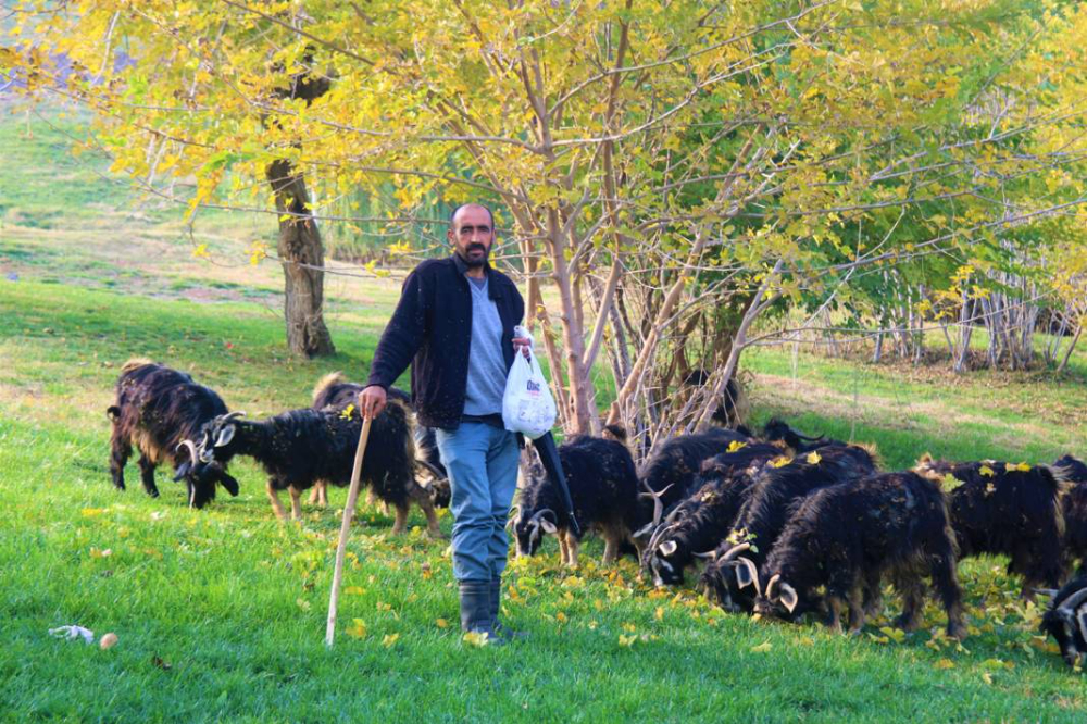 8 Bin Yıllık Miras