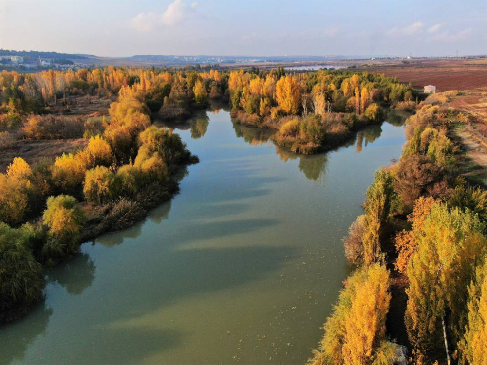 8 Bin Yıllık Miras