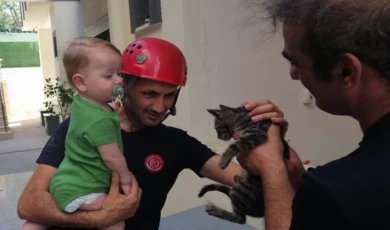 İstanbul’da 5 ayda 6 bin hayvan kurtarıldı